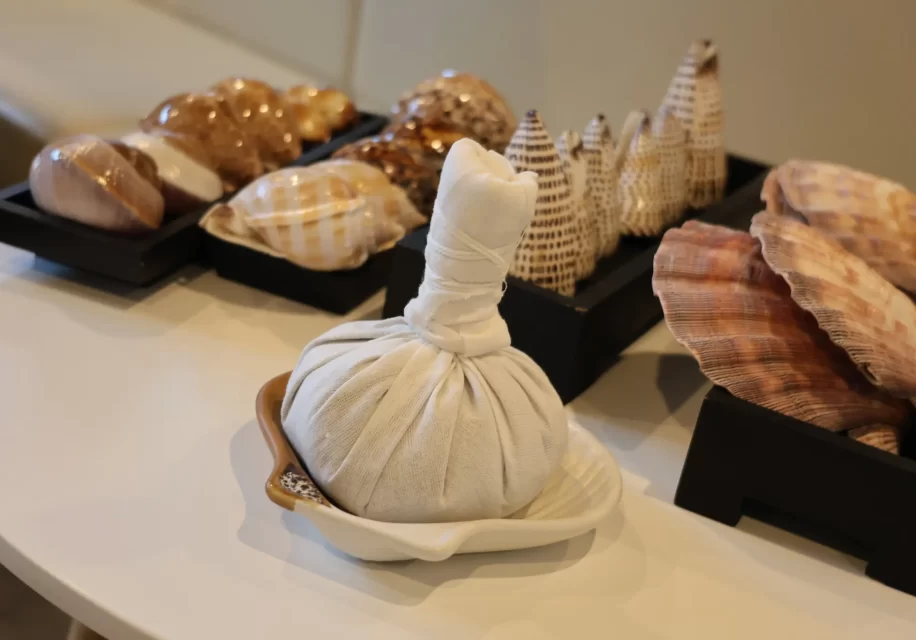 485168774_1125396026053023_8319873866508402119_n