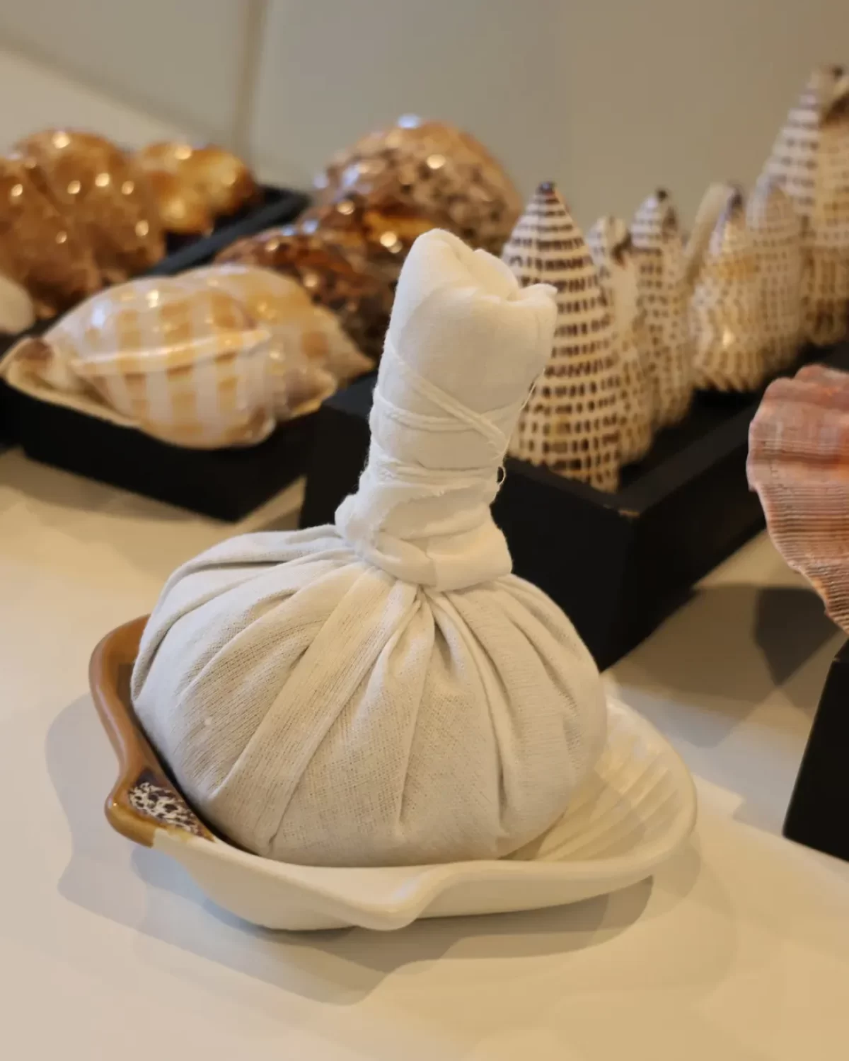 485168774_1125396026053023_8319873866508402119_n